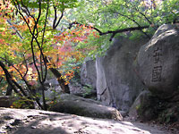 tai chi garden